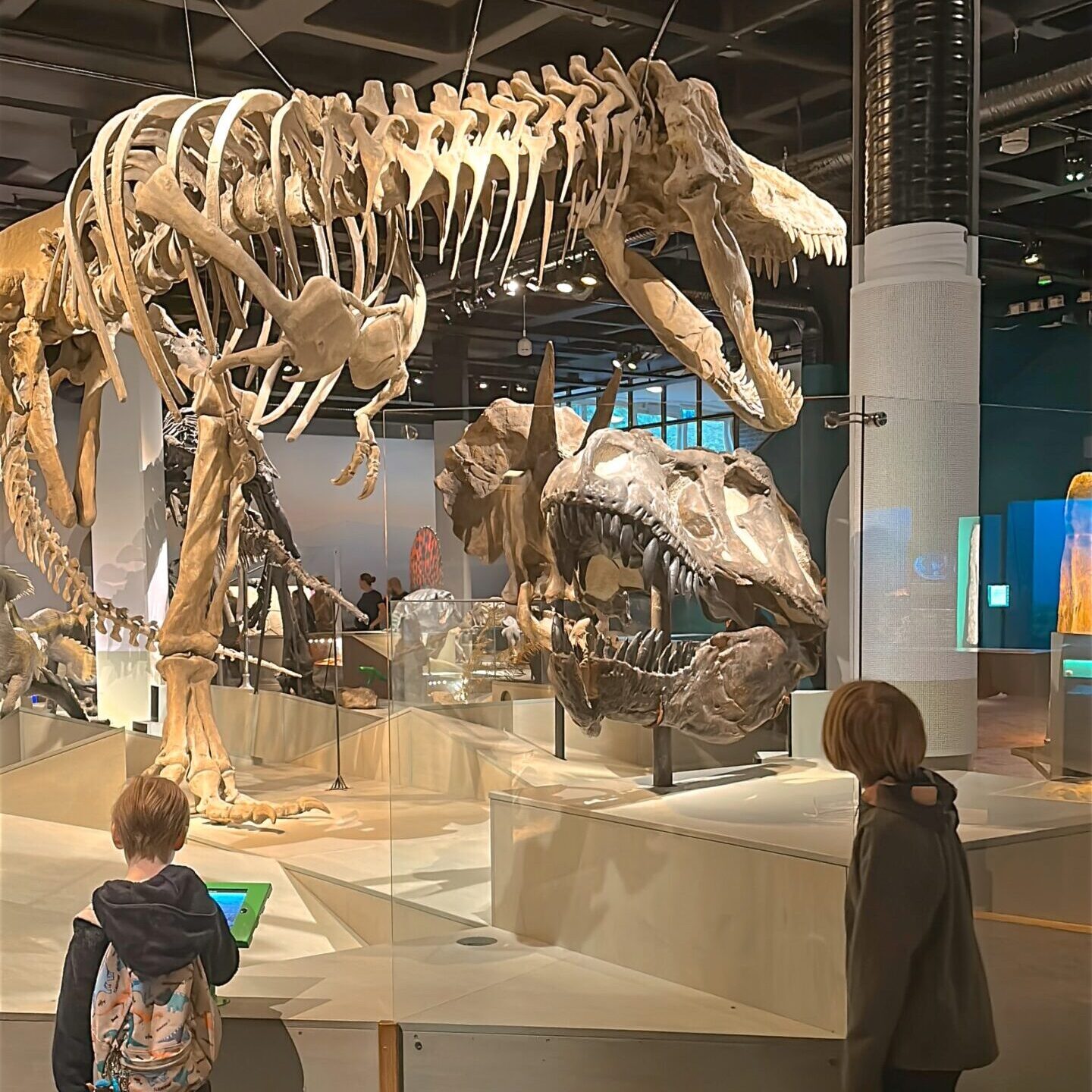 Museum of Natural History – a must visit in Stockholm